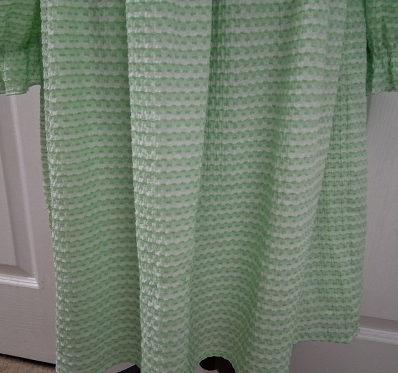 Cider Mint Green Textured Fabric With Smocked Bodice Size XL - Picture 3 of 13